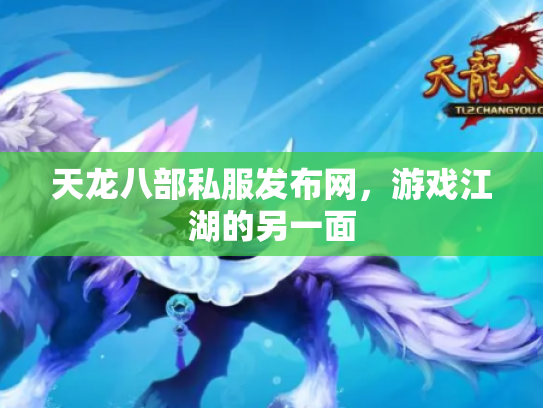 天龙八部私服发布网，游戏江湖的另一面