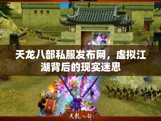 天龙八部私服发布网，虚拟江湖背后的现实迷思