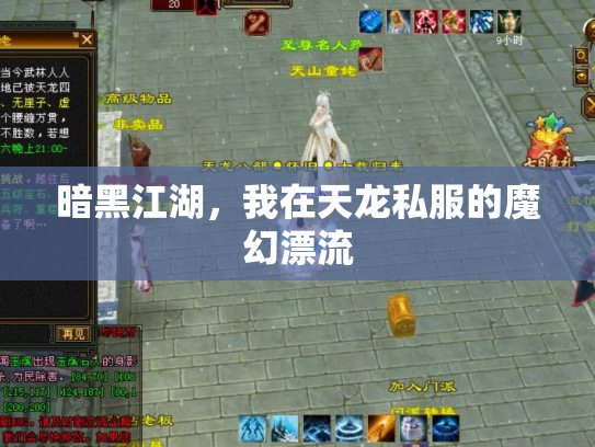 暗黑江湖，我在天龙私服的魔幻漂流