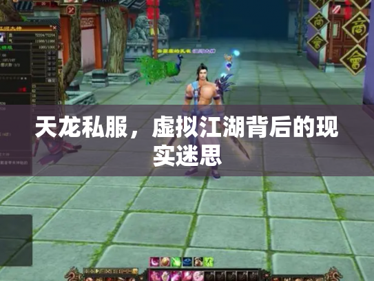 天龙私服，虚拟江湖背后的现实迷思