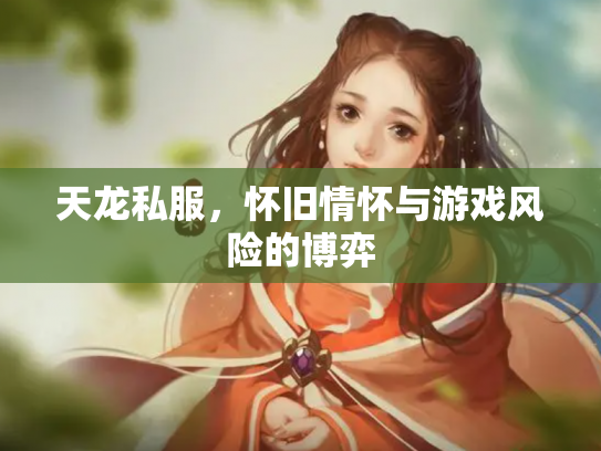 天龙私服，怀旧情怀与游戏风险的博弈
