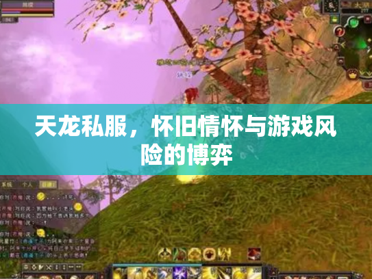 天龙私服，怀旧情怀与游戏风险的博弈