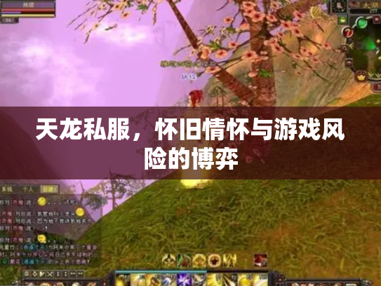 天龙私服，怀旧情怀与游戏风险的博弈