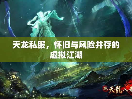 天龙私服，怀旧与风险并存的虚拟江湖