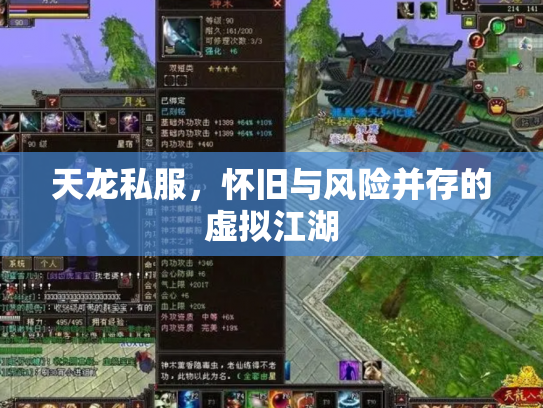 天龙私服，怀旧与风险并存的虚拟江湖