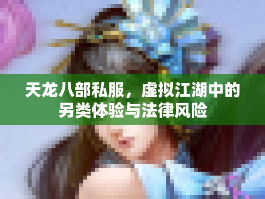 天龙八部私服，虚拟江湖中的另类体验与法律风险