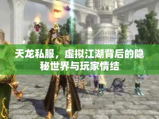 天龙私服，虚拟江湖背后的隐秘世界与玩家情结