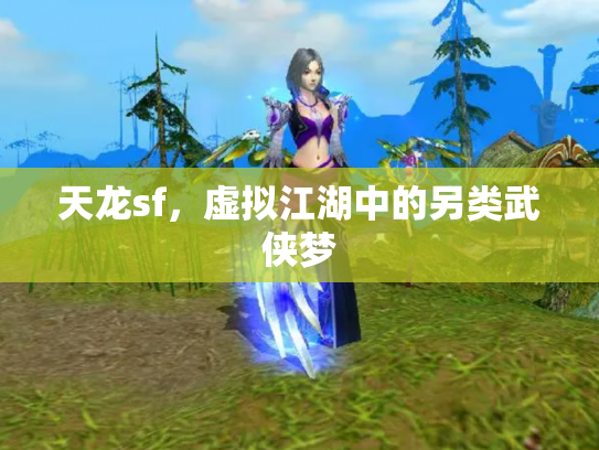 天龙sf，虚拟江湖中的另类武侠梦