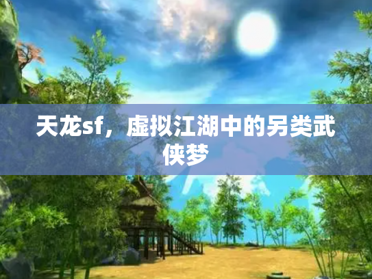 天龙sf，虚拟江湖中的另类武侠梦