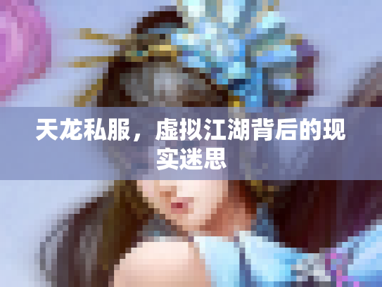 天龙私服，虚拟江湖背后的现实迷思