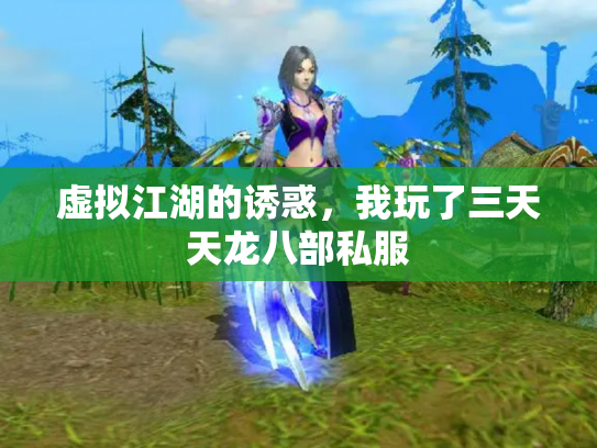 虚拟江湖的诱惑，我玩了三天天龙八部私服