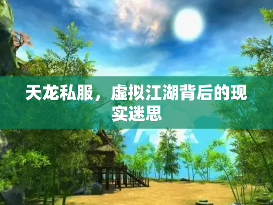 天龙私服，虚拟江湖背后的现实迷思