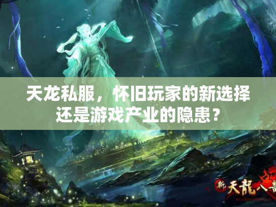 天龙私服，怀旧玩家的新选择还是游戏产业的隐患？