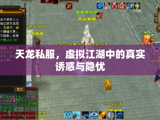 天龙私服，虚拟江湖中的真实诱惑与隐忧