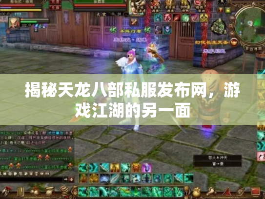 揭秘天龙八部私服发布网，游戏江湖的另一面