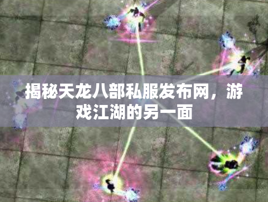 揭秘天龙八部私服发布网，游戏江湖的另一面