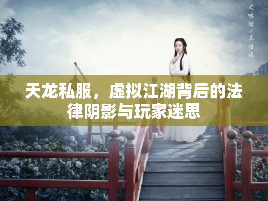 天龙私服，虚拟江湖背后的法律阴影与玩家迷思