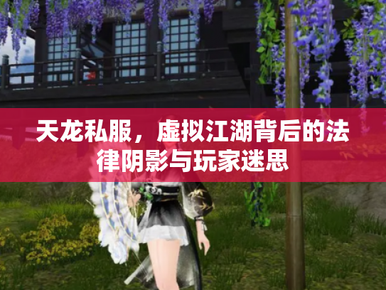 天龙私服，虚拟江湖背后的法律阴影与玩家迷思