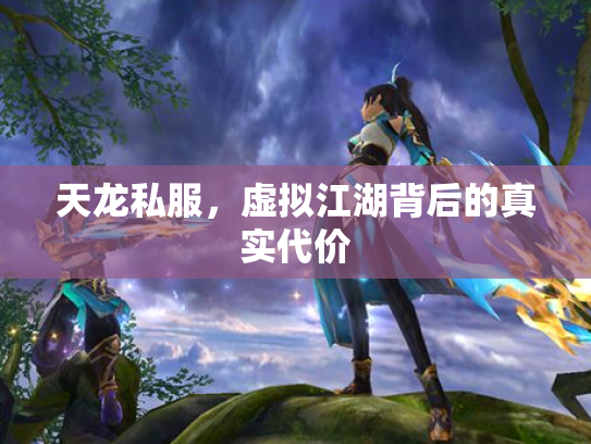 天龙私服，虚拟江湖背后的真实代价