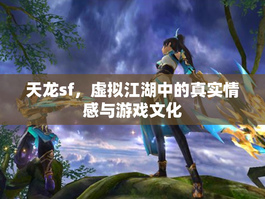天龙sf，虚拟江湖中的真实情感与游戏文化