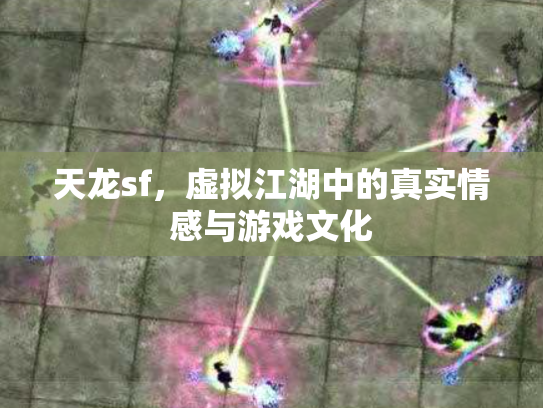 天龙sf，虚拟江湖中的真实情感与游戏文化