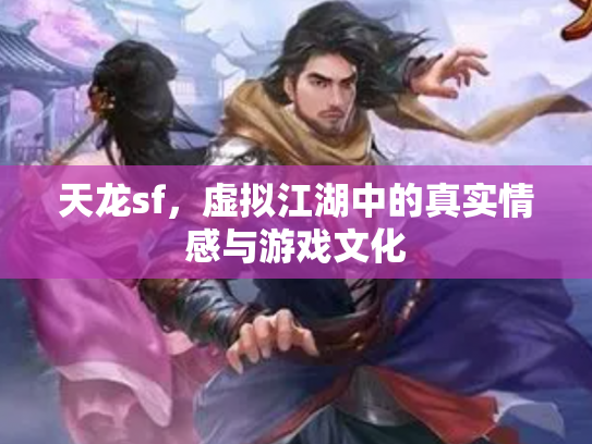 天龙sf，虚拟江湖中的真实情感与游戏文化