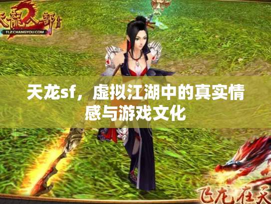 天龙sf，虚拟江湖中的真实情感与游戏文化