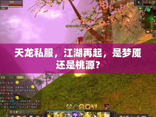 天龙私服，江湖再起，是梦魇还是桃源？