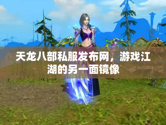 天龙八部私服发布网，游戏江湖的另一面镜像