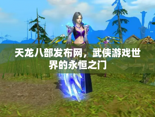 天龙八部发布网，武侠游戏世界的永恒之门