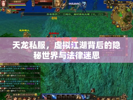 天龙私服，虚拟江湖背后的隐秘世界与法律迷思