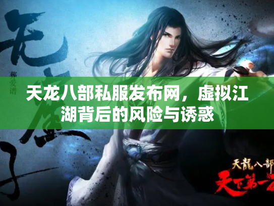 天龙八部私服发布网，虚拟江湖背后的风险与诱惑