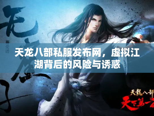 天龙八部私服发布网，虚拟江湖背后的风险与诱惑