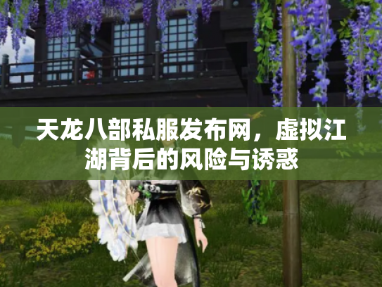 天龙八部私服发布网，虚拟江湖背后的风险与诱惑