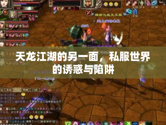 天龙江湖的另一面，私服世界的诱惑与陷阱