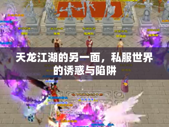 天龙江湖的另一面，私服世界的诱惑与陷阱