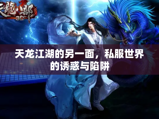 天龙江湖的另一面，私服世界的诱惑与陷阱