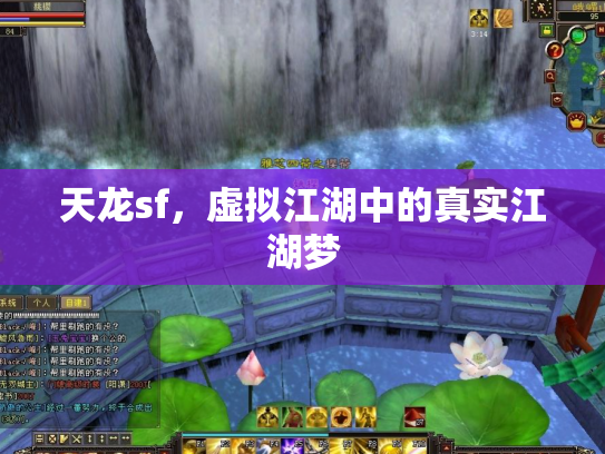 天龙sf，虚拟江湖中的真实江湖梦