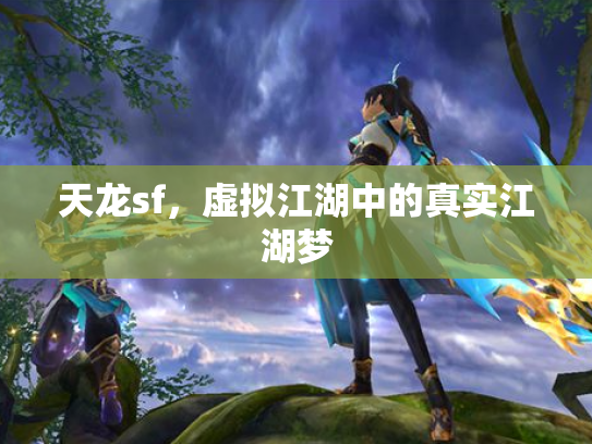天龙sf，虚拟江湖中的真实江湖梦