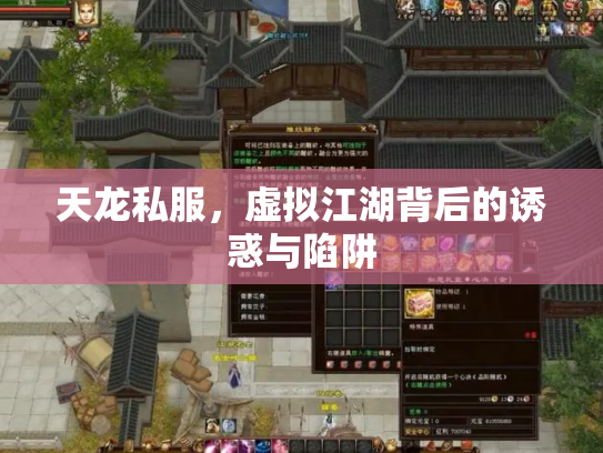 天龙私服，虚拟江湖背后的诱惑与陷阱