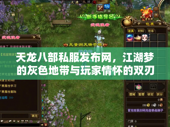天龙八部私服发布网，江湖梦的灰色地带与玩家情怀的双刃剑