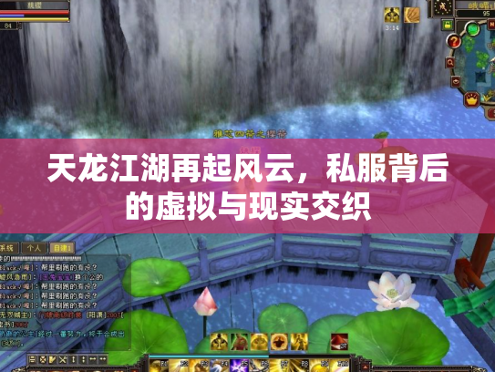 天龙江湖再起风云，私服背后的虚拟与现实交织