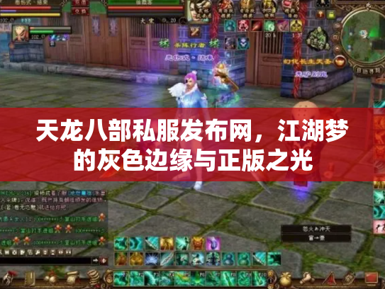 天龙八部私服发布网，江湖梦的灰色边缘与正版之光