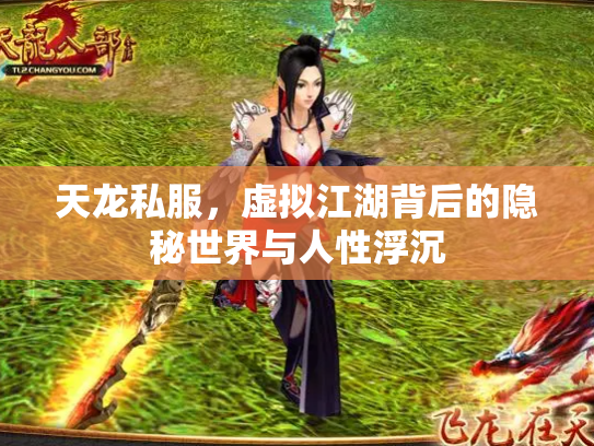 天龙私服，虚拟江湖背后的隐秘世界与人性浮沉