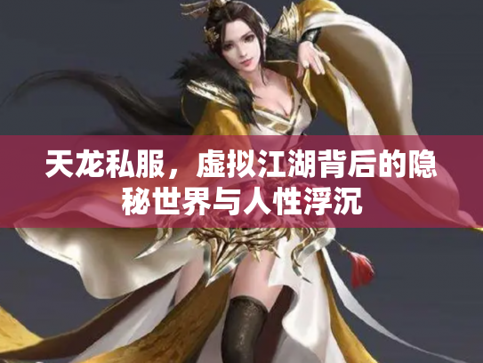 天龙私服，虚拟江湖背后的隐秘世界与人性浮沉