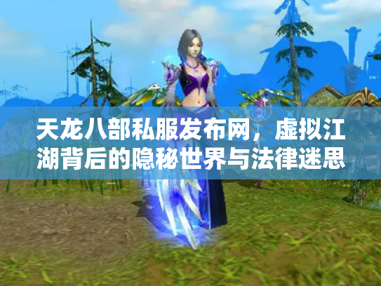 天龙八部私服发布网，虚拟江湖背后的隐秘世界与法律迷思