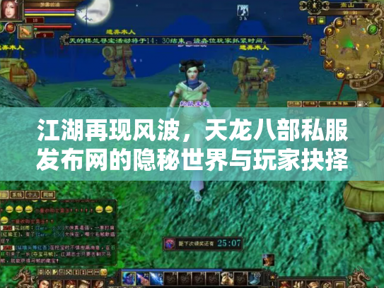 江湖再现风波，天龙八部私服发布网的隐秘世界与玩家抉择