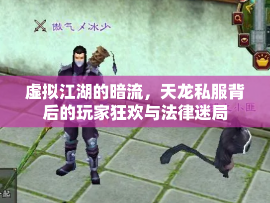 虚拟江湖的暗流，天龙私服背后的玩家狂欢与法律迷局