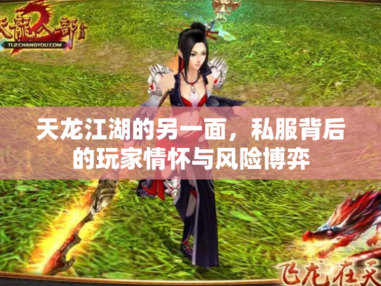 天龙江湖的另一面，私服背后的玩家情怀与风险博弈