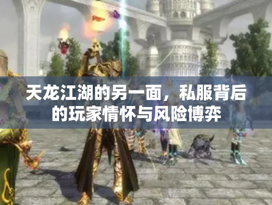 天龙江湖的另一面，私服背后的玩家情怀与风险博弈